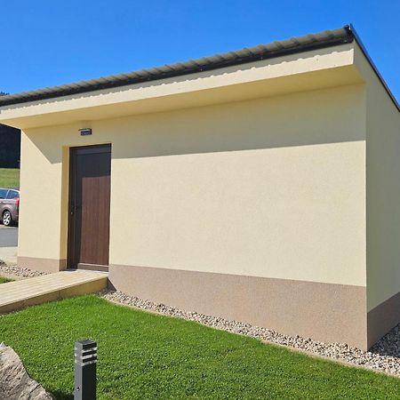 Apartman U Sucheho Buku - Bukova Hora Červená Voda 외부 사진